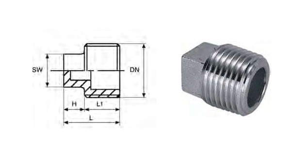 Square plug 1/2" AISI316